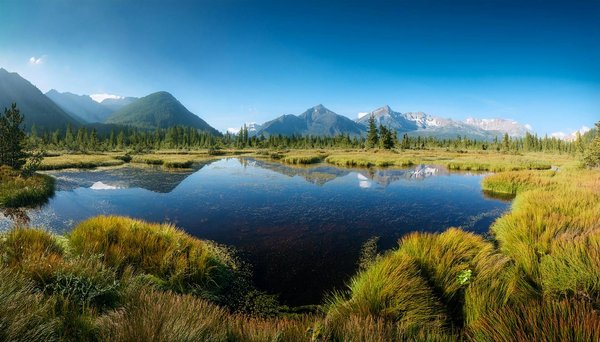 Quels sont les meilleurs itinéraires pour une randonnée dans les montagnes de Svanétie, Géorgie : équipements et conseils pratiques ?